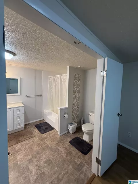 203 Young Rd, Remlap, AL 35133 photo 20