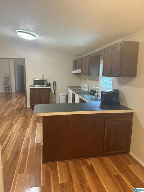 203 Young Rd, Remlap, AL 35133 photo 13