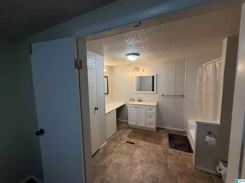 203 Young Rd, Remlap, AL 35133 photo 22