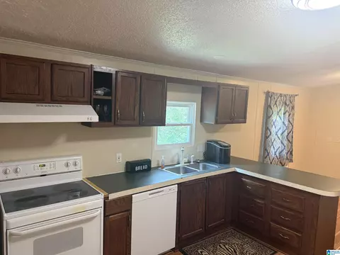203 Young Rd, Remlap, AL 35133 photo 14