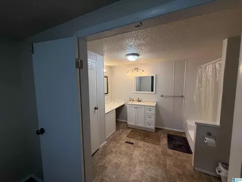 203 Young Rd, Remlap, AL 35133 photo 21