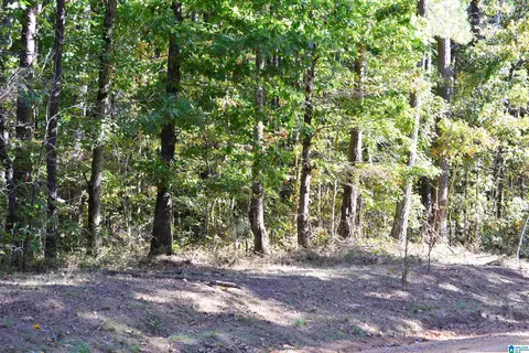 lot24 Gladys Dr #24, Lakeview, AL 35111