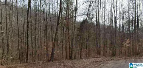 00 Heritage Creek Dr #15, Springville, AL 35146