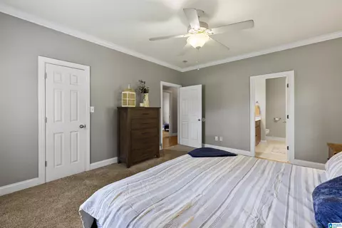 907 Spruce Rd, Oneonta, AL 35121 photo 11