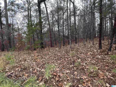 0 Mountain View Ln #35, Mc Calla, AL 35111