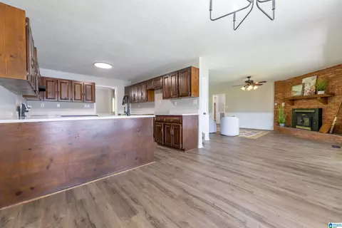 814 E Haven Dr, Glencoe, AL 35905 photo 15