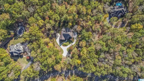 View/Area - 360 Stonegate Dr, Birmingham, AL 35242 photo 11 of 12