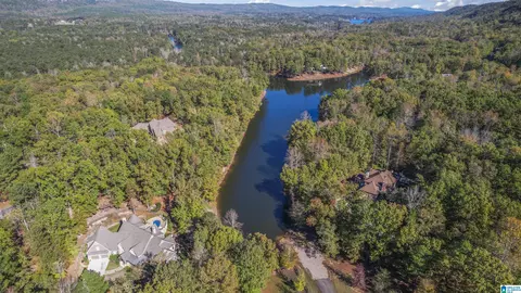 View/Area - 360 Stonegate Dr, Birmingham, AL 35242 photo 4 of 12