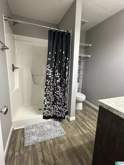 Bath - 426 Bailey Rd, Weaver, AL 36277 photo 2 of 3