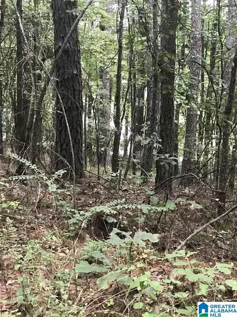 lakeside lane, Alpine, AL 35014