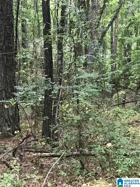 s lakeside lane, Alpine, AL 35014