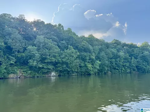 wright way drive, Wedowee, AL 36278