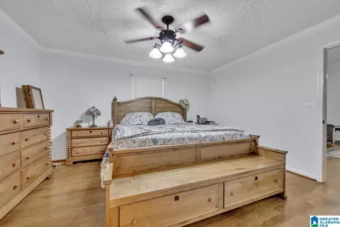 2559 Corner Rd, Warrior, AL 35180 photo 16