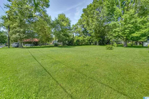 Exterior - 203 Parrish Ave, Clanton, AL 35045 photo 16 of 21