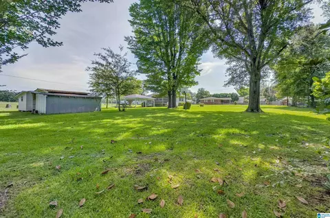 Exterior - 203 Parrish Ave, Clanton, AL 35045 photo 18 of 21