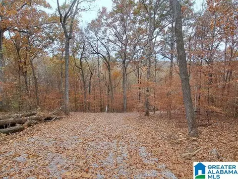 6246 Red Hollow Rd #0, Pinson, AL 35215