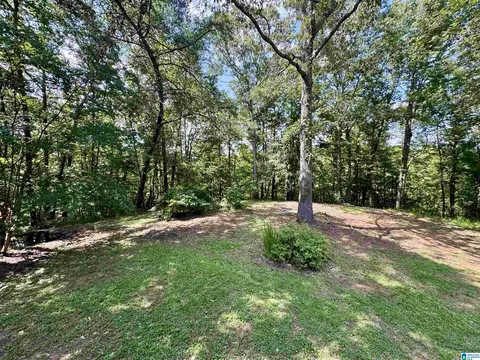 100 Panoramic Trl, Warrior, AL 35180 photo 17