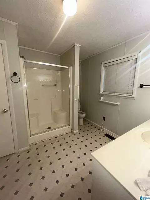 1104 8th Ave, Jasper, AL 35501 photo 39