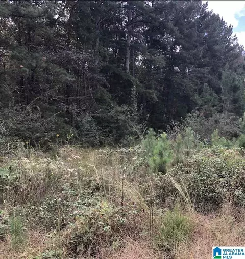 thomaston road, Lincoln, AL 35096