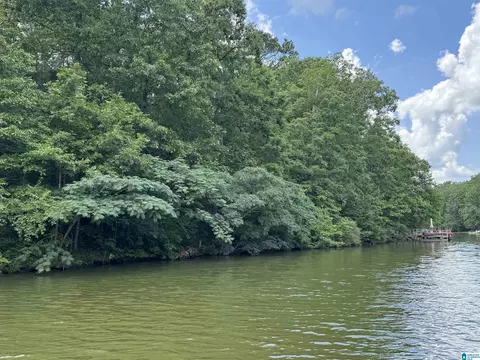 lot10 County Road 2565 #10, Wedowee, AL 36278