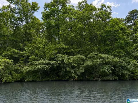 lot10 County Road 2565 #10, Wedowee, AL 36278