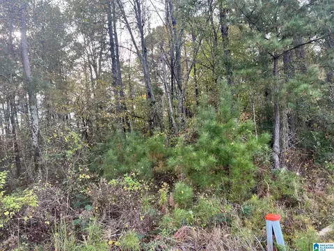 jones road, Alpine, AL 35014