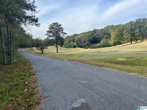 jones road, Alpine, AL 35014