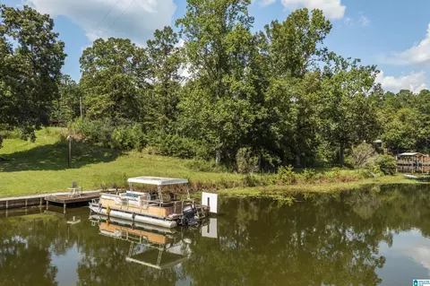 596 County Road 199, Clanton, AL 35045 photo 31