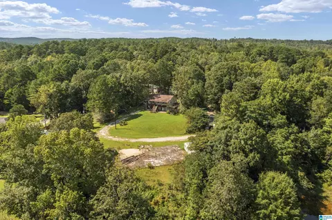 596 County Road 199, Clanton, AL 35045 photo 32