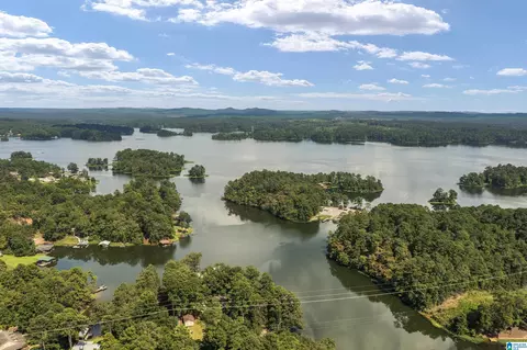 596 County Road 199, Clanton, AL 35045 photo 15