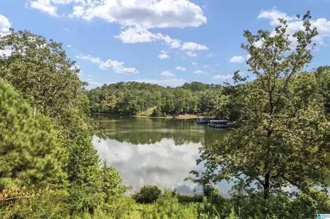 596 County Road 199, Clanton, AL 35045 photo 14