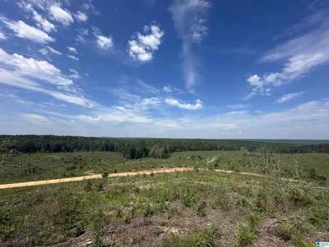 0 County Road 305 #1, Maplesville, AL 36750