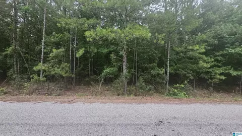 county road 518 LOT 23, Selma, AL 36701