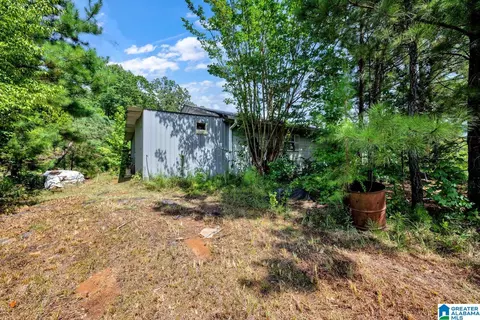 587 Mountain Dr, Remlap, AL 35133 photo 32