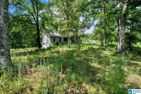 587 Mountain Dr, Remlap, AL 35133 photo 33