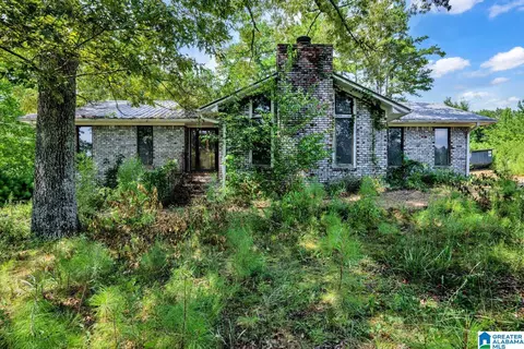 587 Mountain Dr, Remlap, AL 35133 photo 2