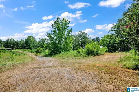 587 Mountain Dr, Remlap, AL 35133 photo 24