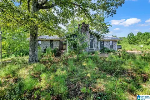 587 Mountain Dr, Remlap, AL 35133 photo 27