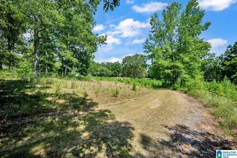 587 Mountain Dr, Remlap, AL 35133 photo 25