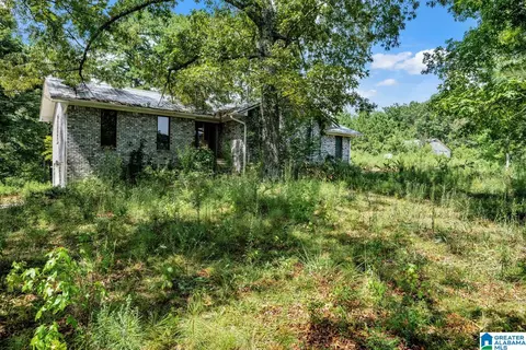 587 Mountain Dr, Remlap, AL 35133 photo 34