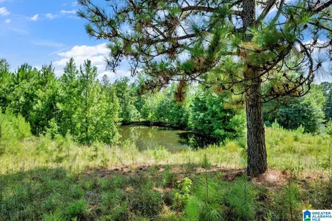 587 Mountain Dr, Remlap, AL 35133 photo 23