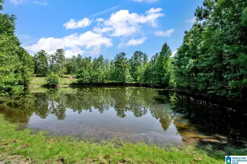 587 Mountain Dr, Remlap, AL 35133 photo 1