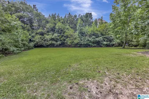249 Grande View Cir, Alabaster, AL 35114 photo 56