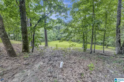 249 Grande View Cir, Alabaster, AL 35114 photo 60