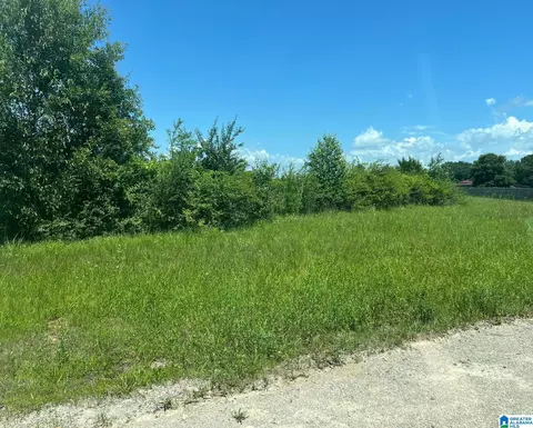 Plum Creek Drive #NONE, Vincent, AL 35178