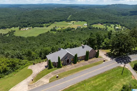 8378 Pine Mountain Rd, Springville, AL 35146