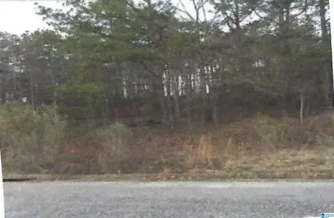 6440 SW Waters Edge Cir SW #LOT 8 MORGANS RUN SUBDIVISION SE, Mccalla, AL 35022
