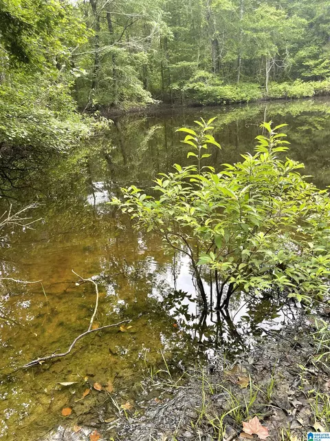 #1 Highway 55 #1, Vandiver, AL 35176