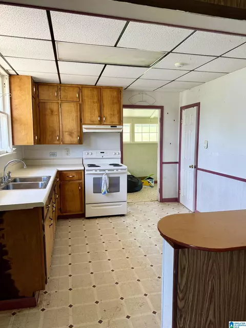 16829 Remlap Dr, Remlap, AL 35133 photo 3