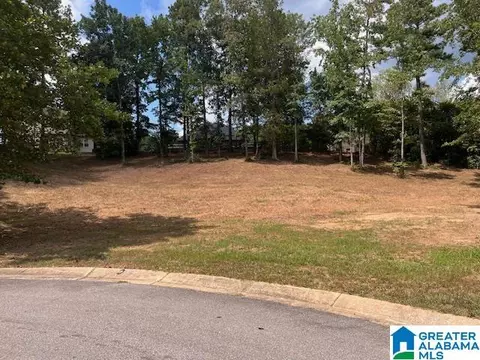 149 Bolivar Cir #421, Chelsea, AL 35043